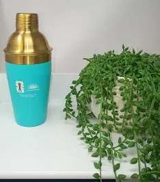 CASAMIGOS FIFA SPECIAL EDITION SHAKER